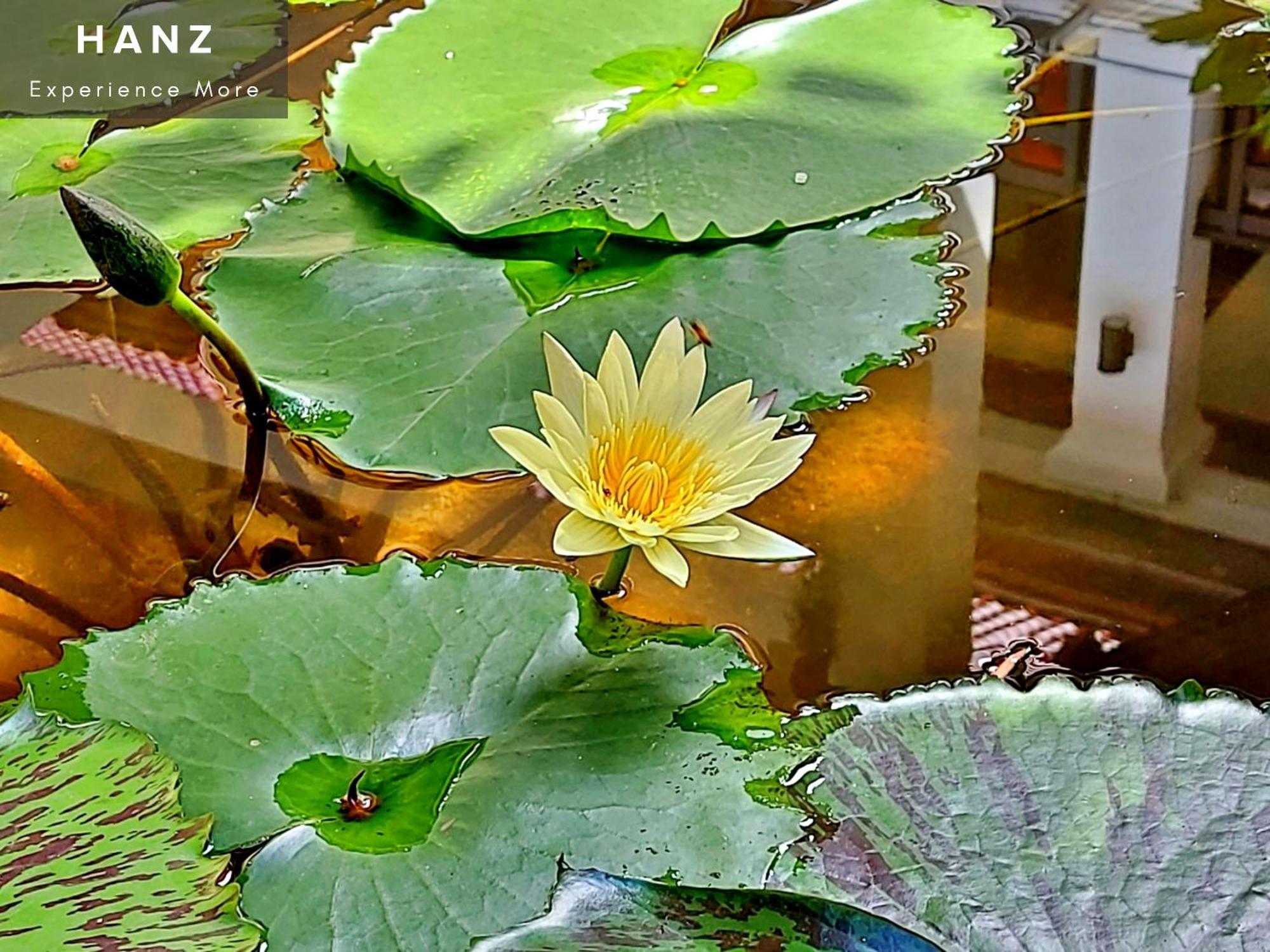 Hotel Sunrise Luang Prabang Exterior foto